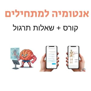 אנטומיה למתחילים - מבוא למערכת התנועה בהיקף 10-15 שעות אקדמאיות