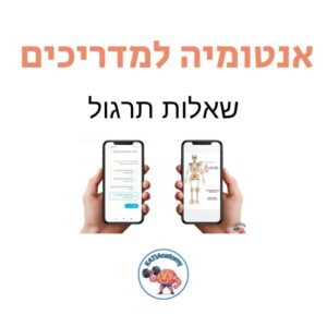 אנטומיה למדריכי כושר - תרגול למבחן