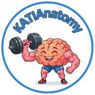 KATIAnatomy