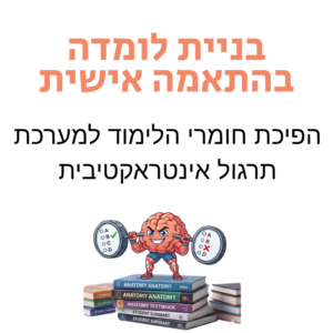 בניית לומדה בהתאמה אישית